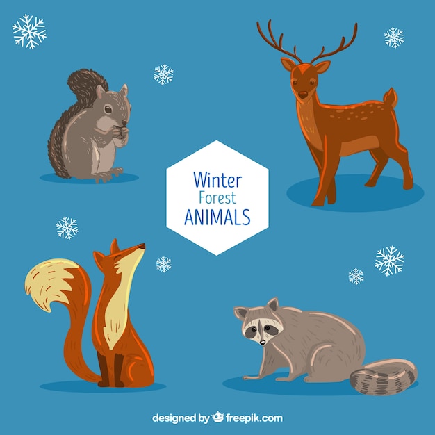 Free vector beautiful forest animal set