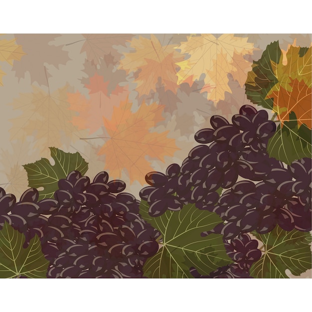 Free vector beautiful grapes background