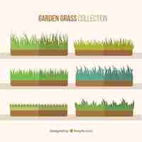 Free vector beautiful grass collection