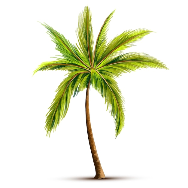 Free vector beautiful green coconut tree leaf design