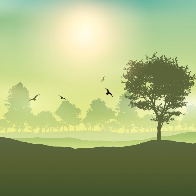 beautiful green landscape background