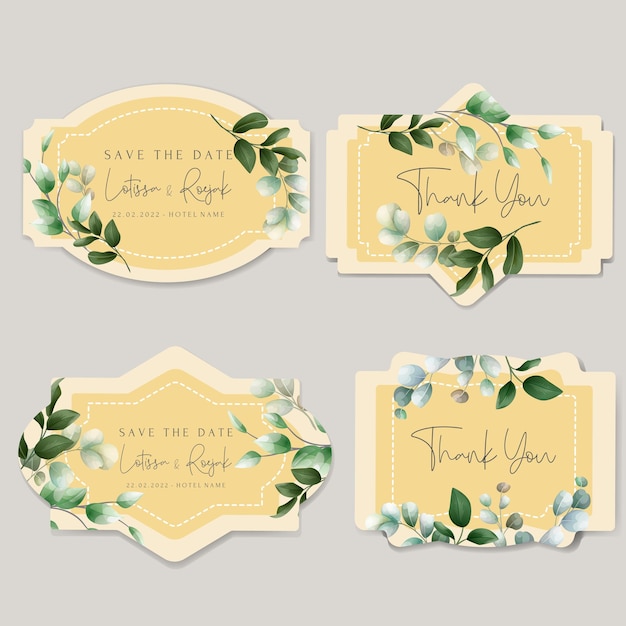 Beautiful hand drawn eucalyptus leaves label collection