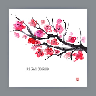 Beautiful hand-drawn illustration with japanese natural motifs. blooming pink sakura. sumi-e