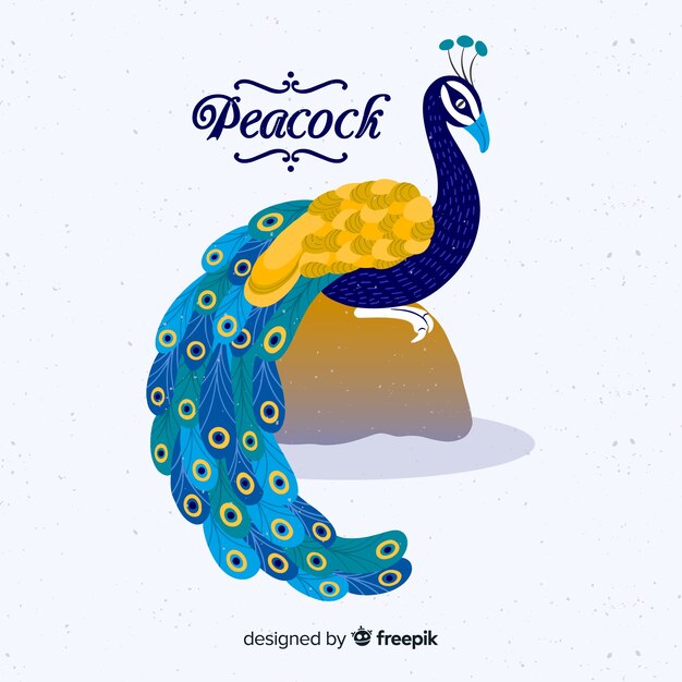 孔雀 画像 無料のベクター ストックフォト Psd
