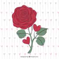 Free vector beautiful hand drawn red rose