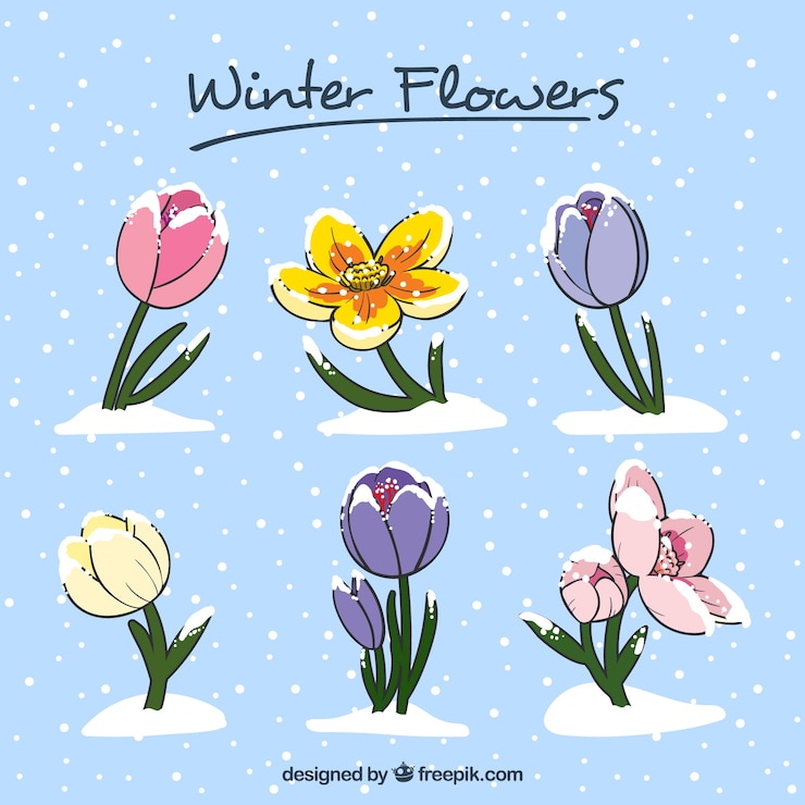 Free Vector beautiful hand-drawn winter flowers