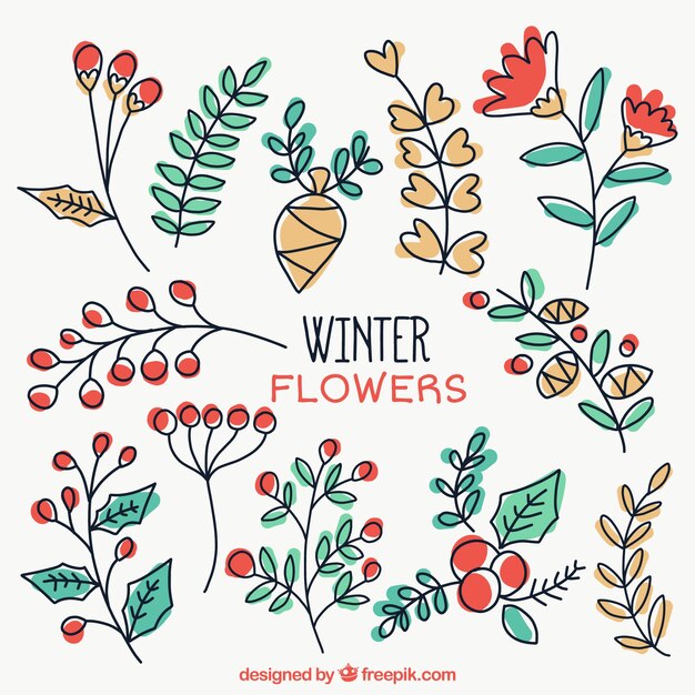 Beautiful hand-drawn winter plants