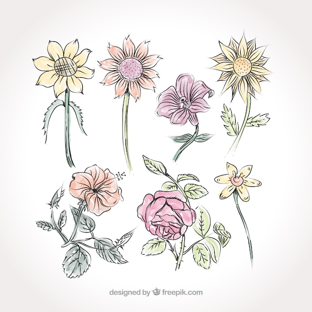 Free vector beautiful hand-painted flowers