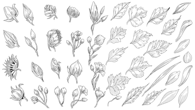 Free vector beautiful leaf sketch set