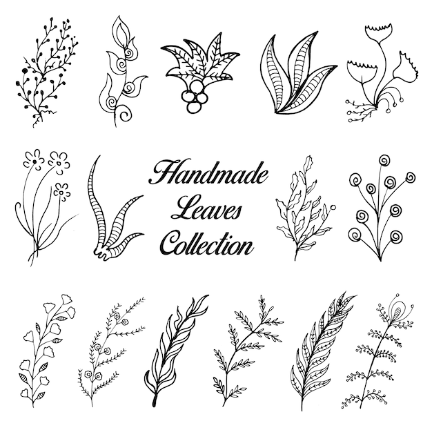 Free vector beautiful leaves collection