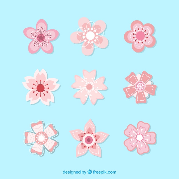 Free vector beautiful pack of different pink flowers