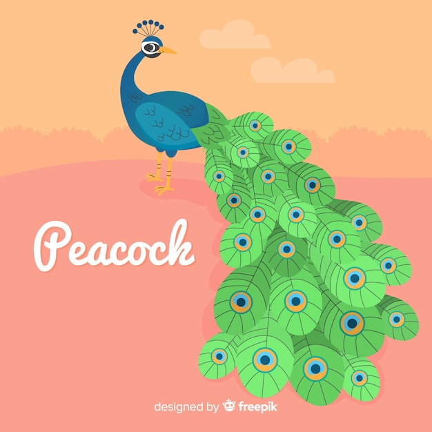 Beautiful peacock background