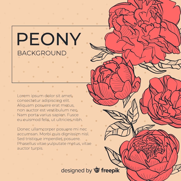 Free vector beautiful peony flower background