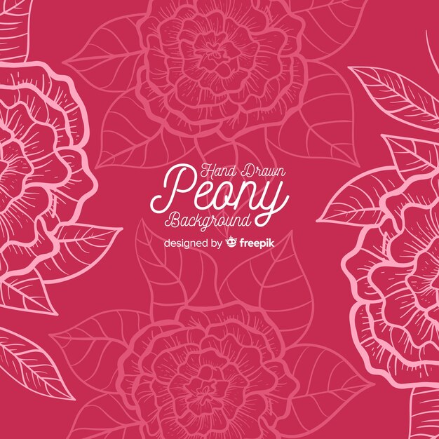 Beautiful peony flower background