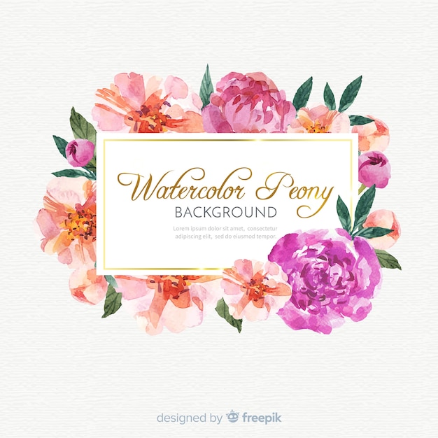 Beautiful peony flowers background