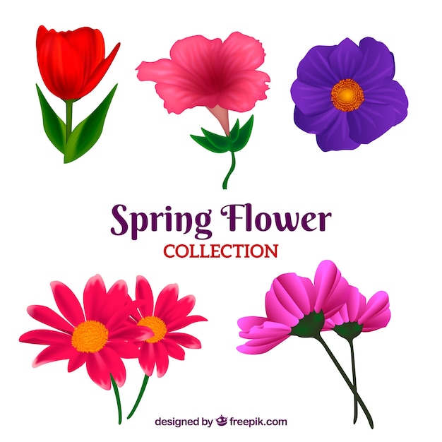 美しい現実的な春の花のコレクション