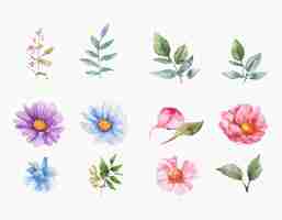 Free vector beautiful set of bouquet of watercolor flowers and leaves. watercolor floral elements