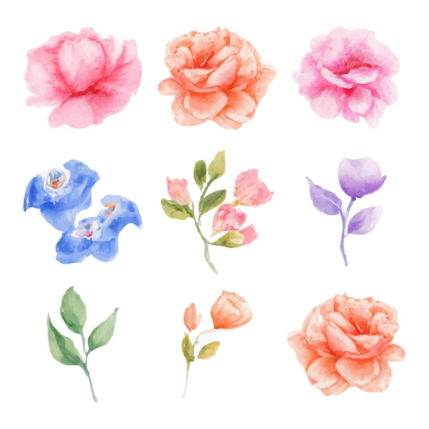 Beautiful set of bouquet of watercolor flowers and leaves. Watercolor floral elements