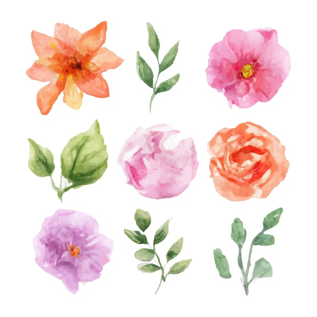 Free vector beautiful set of bouquet of watercolor flowers and leaves. watercolor floral elements