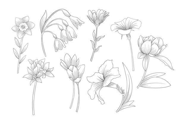 Free vector beautiful spring flower collection