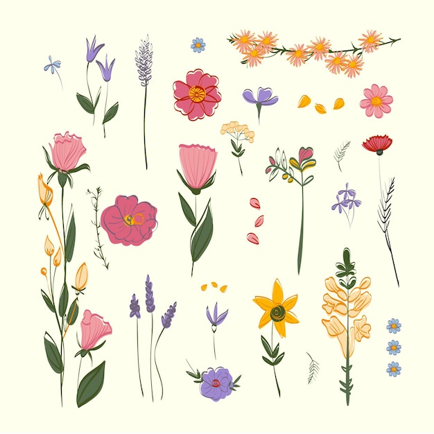 Free vector beautiful spring flower collection