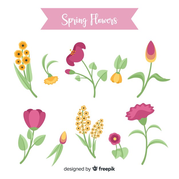 Beautiful spring flowers collection