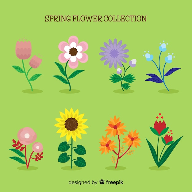 Beautiful spring flowers collection