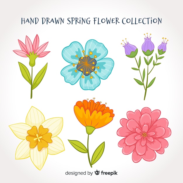 Free vector beautiful spring flowers collection