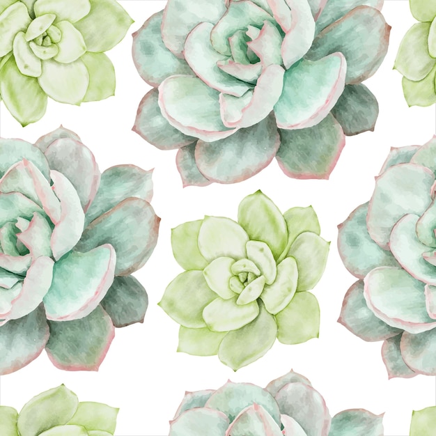 Beautiful succulent flower watercolor seamless pattern