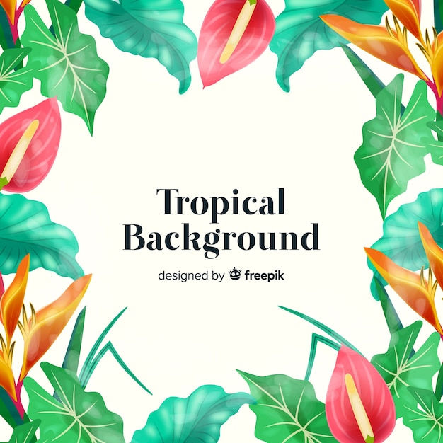 Beautiful tropical background