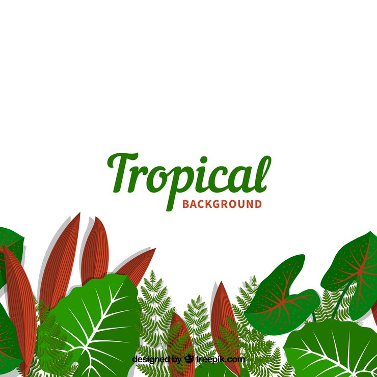 मुफ़्त वेक्टर beautiful tropical background