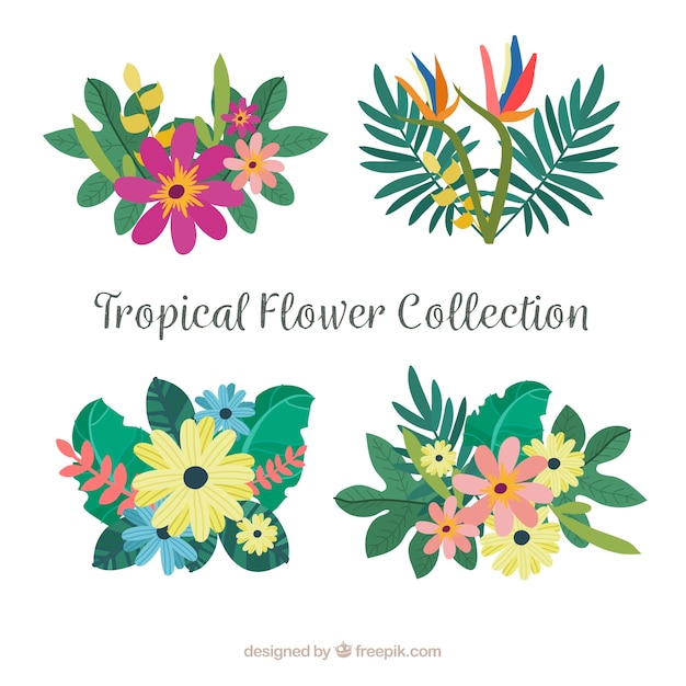 Beautiful tropical flowers set