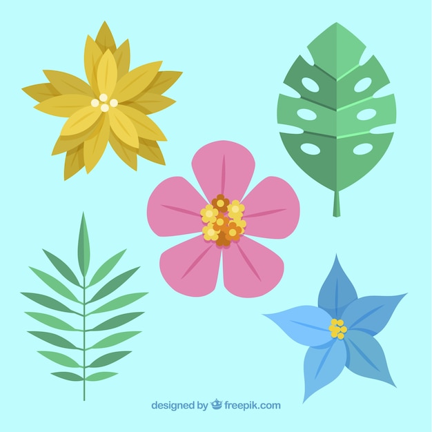 Free vector beautiful tropical flowers set