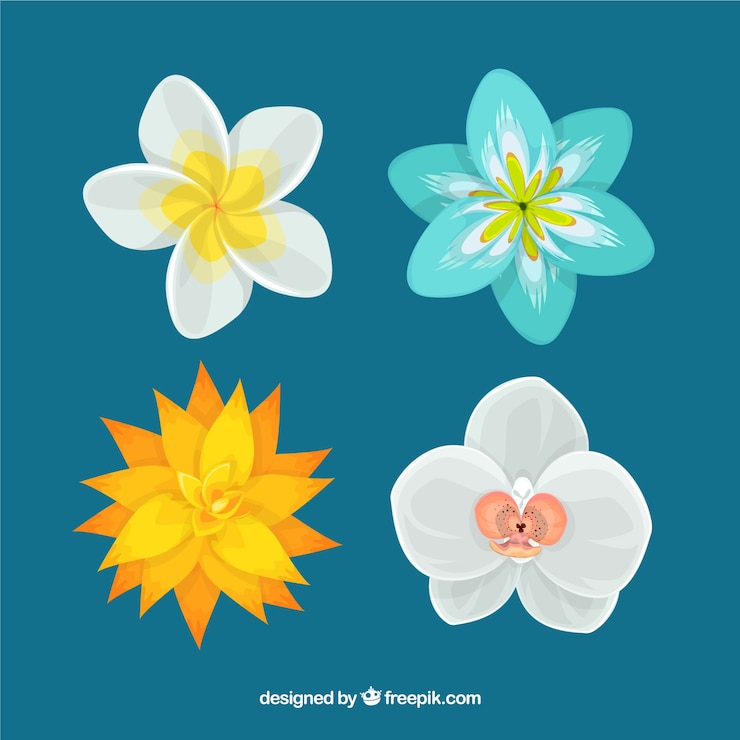 無料Vector 美しい熱帯の花セット