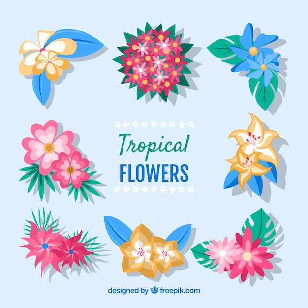 Vettore gratuito set di bellissimi fiori tropicali