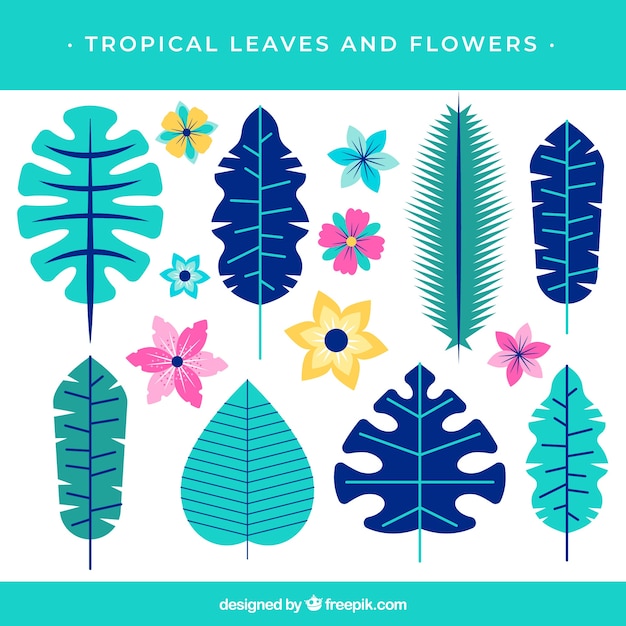 Free vector beautiful tropical flowers set