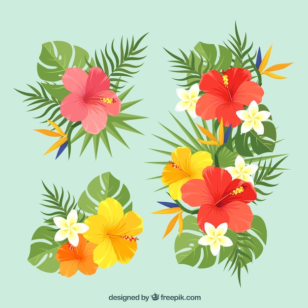 Free vector beautiful tropical flowers set