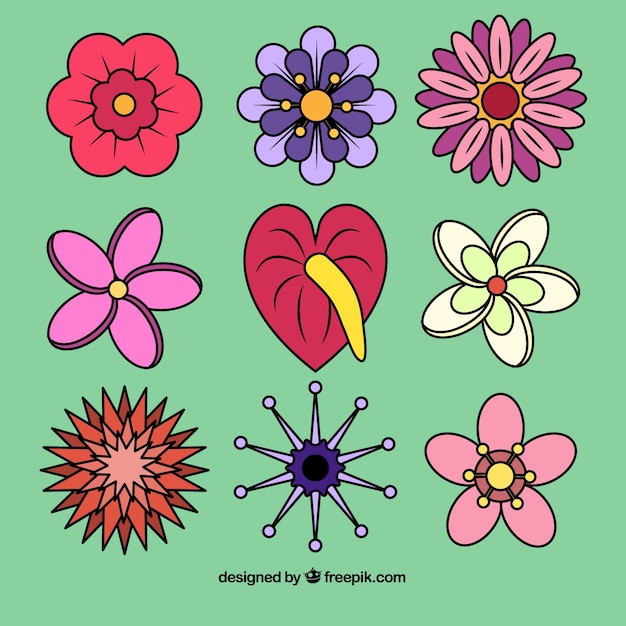 Free vector beautiful tropical flowers set