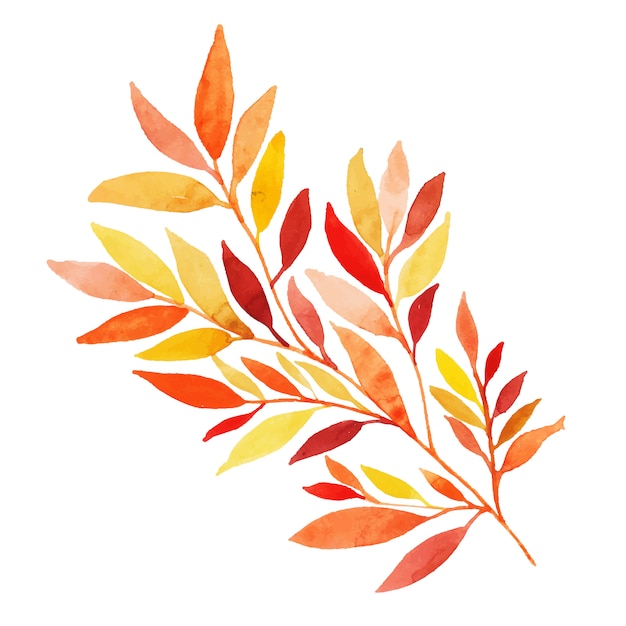 無料ベクター 美しい水彩秋の葉
