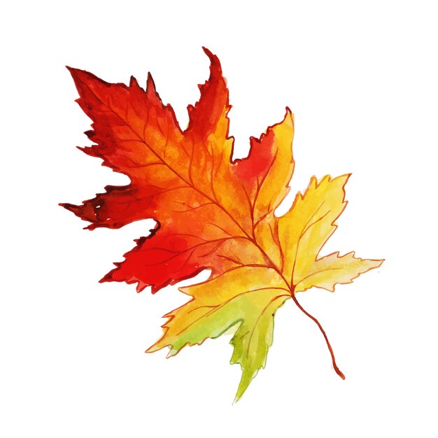 Beautiful Watercolor Autumn Leaf