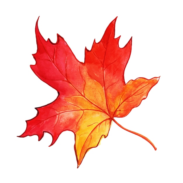 Красивый акварельный осенний лист