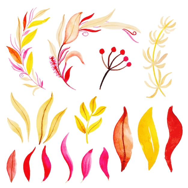 Bella collezione di foglie d'autunno dell'acquerello