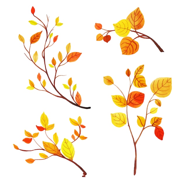 Коллекция красивых осенних листьев акварели