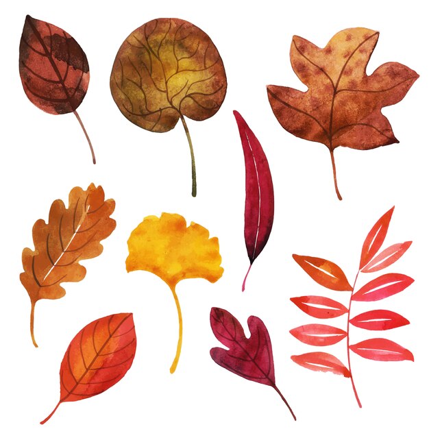 Коллекция красивых осенних листьев акварели
