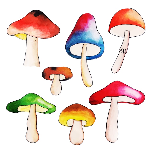 Beautiful watercolor autumn mushroom collection