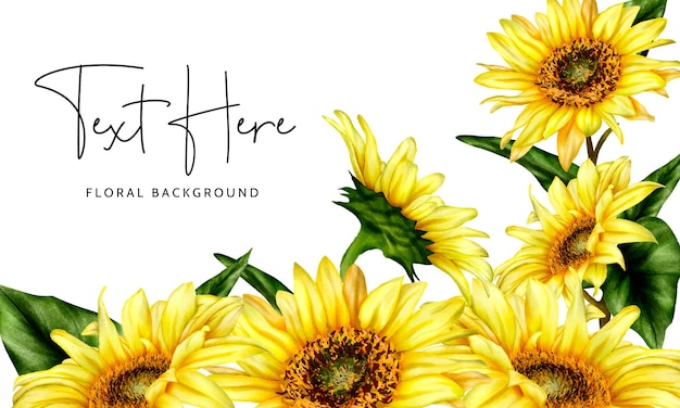 beautiful watercolor blooming sunflower floral background template