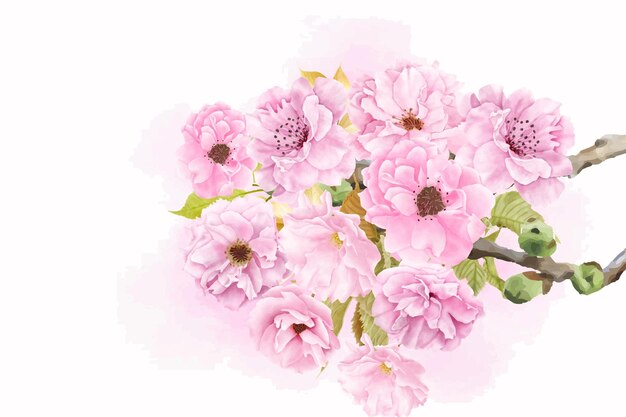 beautiful watercolor cherry blossom background design