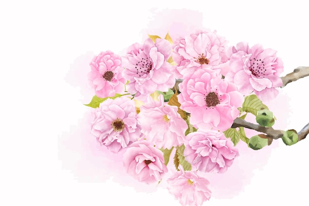아름다운 수채화 벚꽃 배경 디자인
