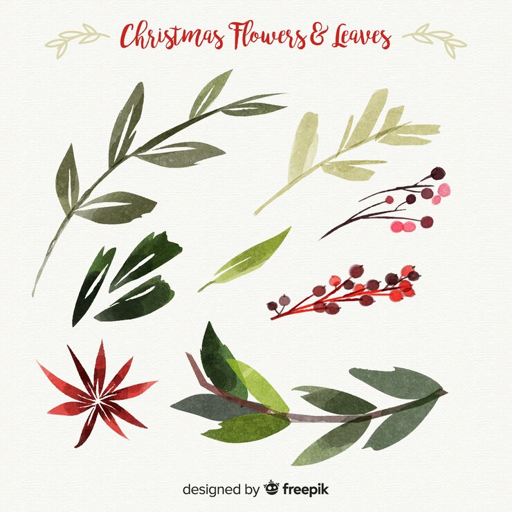 Free Vector beautiful watercolor christmas flowers and leaves collection