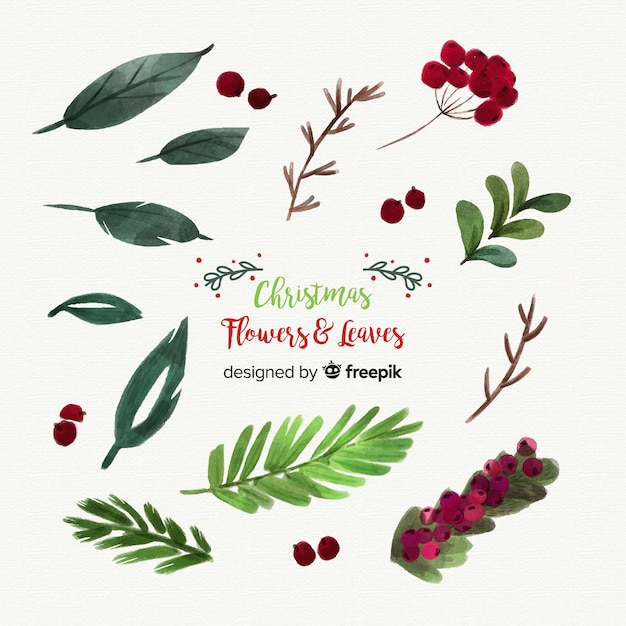 Free vector beautiful watercolor christmas flowers and leaves collection